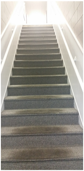 Before Stair Tread Replacement Central Illinois