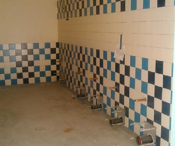 Restroom Pattern Wall Tile Central Illinois